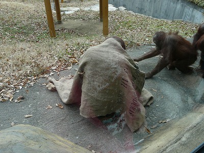 多摩動物公園2012・・・俺似の後姿_b0166128_18394347.jpg