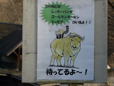 多摩動物公園2012・・・№1人気に負けにゃい!_b0166128_19281378.jpg