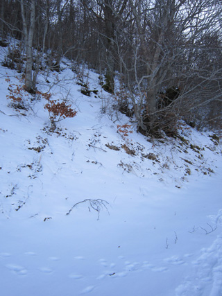 雪のカステッルッチョ2_f0234936_2295286.jpg