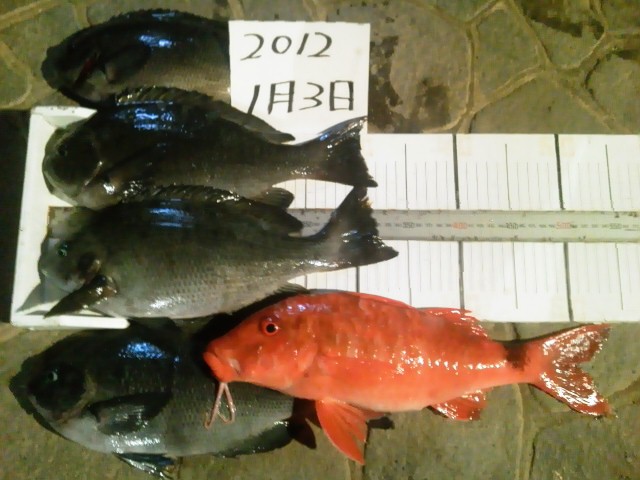 c0149247_215983.jpg