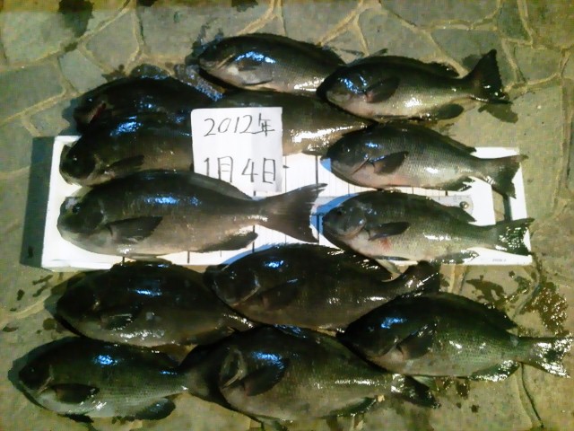 c0149247_22183566.jpg