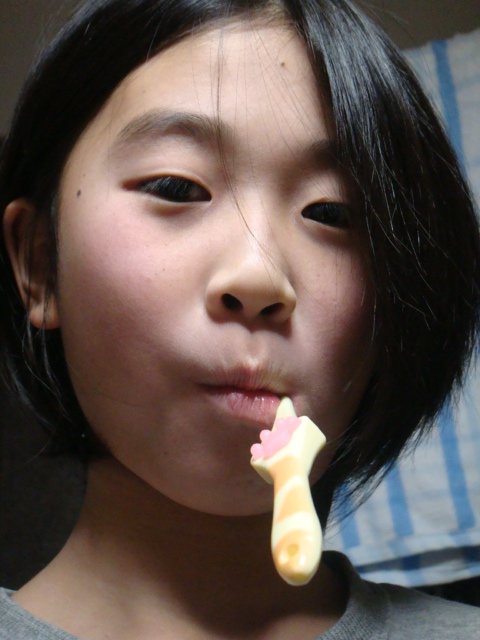 c0074157_9165163.jpg