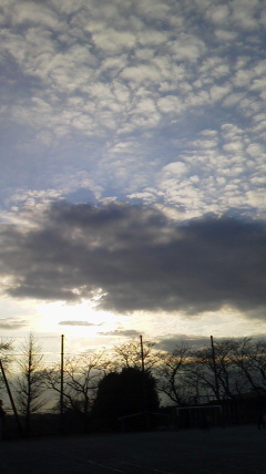 d0038458_11354372.jpg