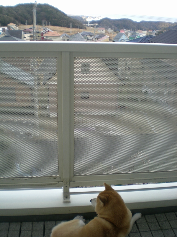 2012年1月11日(水)もう、歩き出したら止まらない~!_f0060461_14234757.jpg