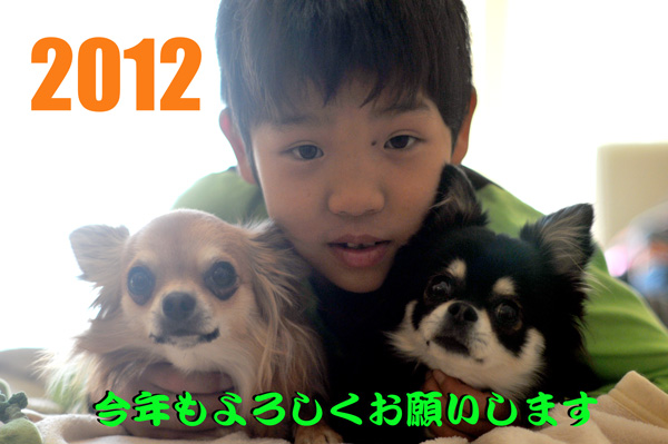 2012　はじまりましたね_e0118962_11463449.jpg