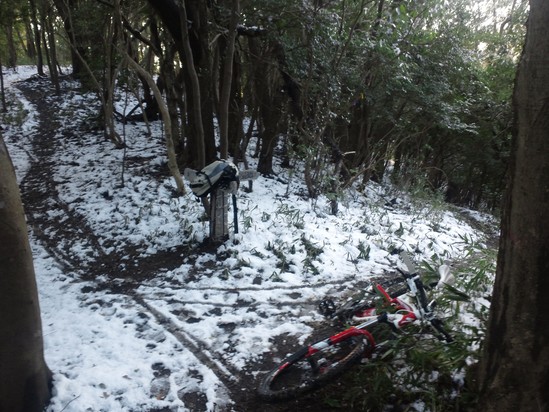 ＭＴＢ　2012　初走り_f0053665_8212784.jpg