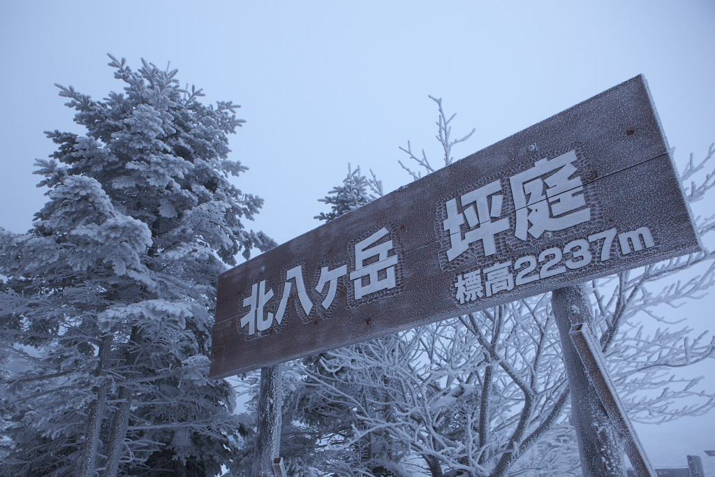 f0171065_23253641.jpg
