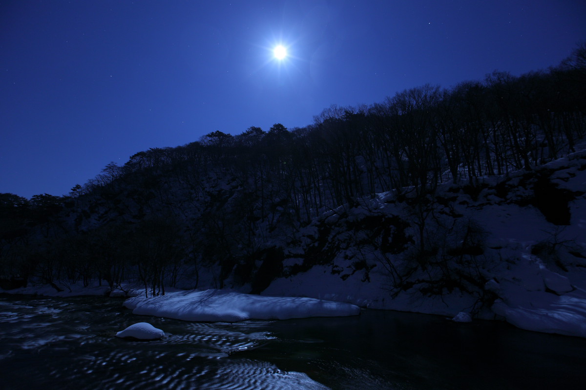 月明かりの下 遥かなる月光の旅 月明かりの下 遥かなる月光の旅