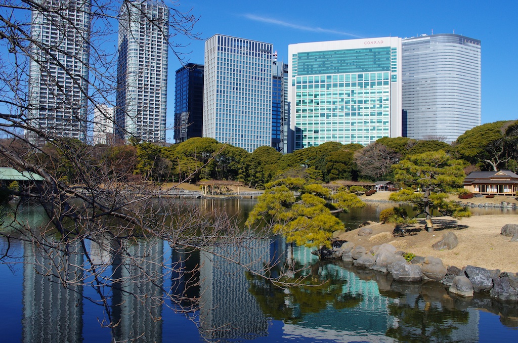 浜離宮新春：１：鴨場の符号_a0142976_16391847.jpg