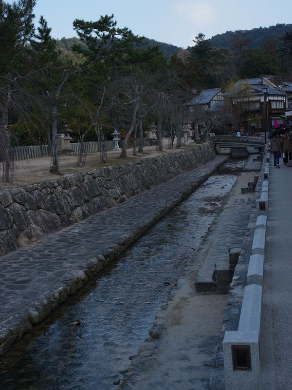 c0177576_1749394.jpg