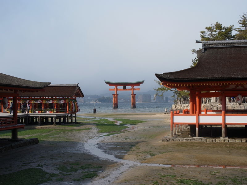 c0177576_1773735.jpg