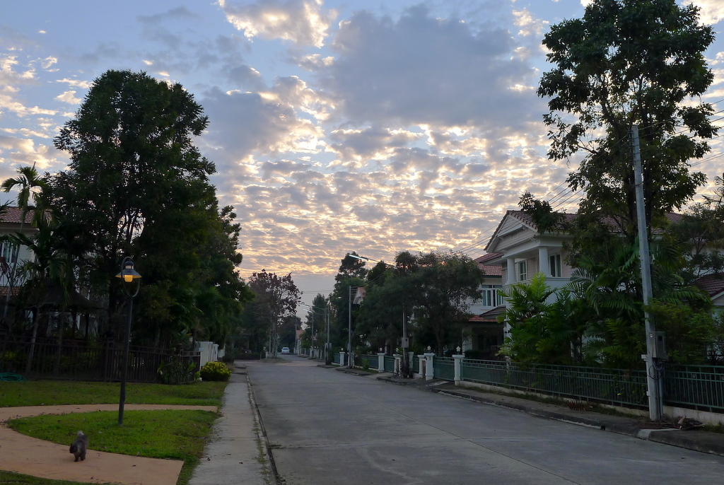 f0178278_18504532.jpg