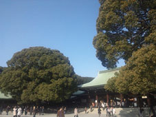 a0036780_2341675.jpg