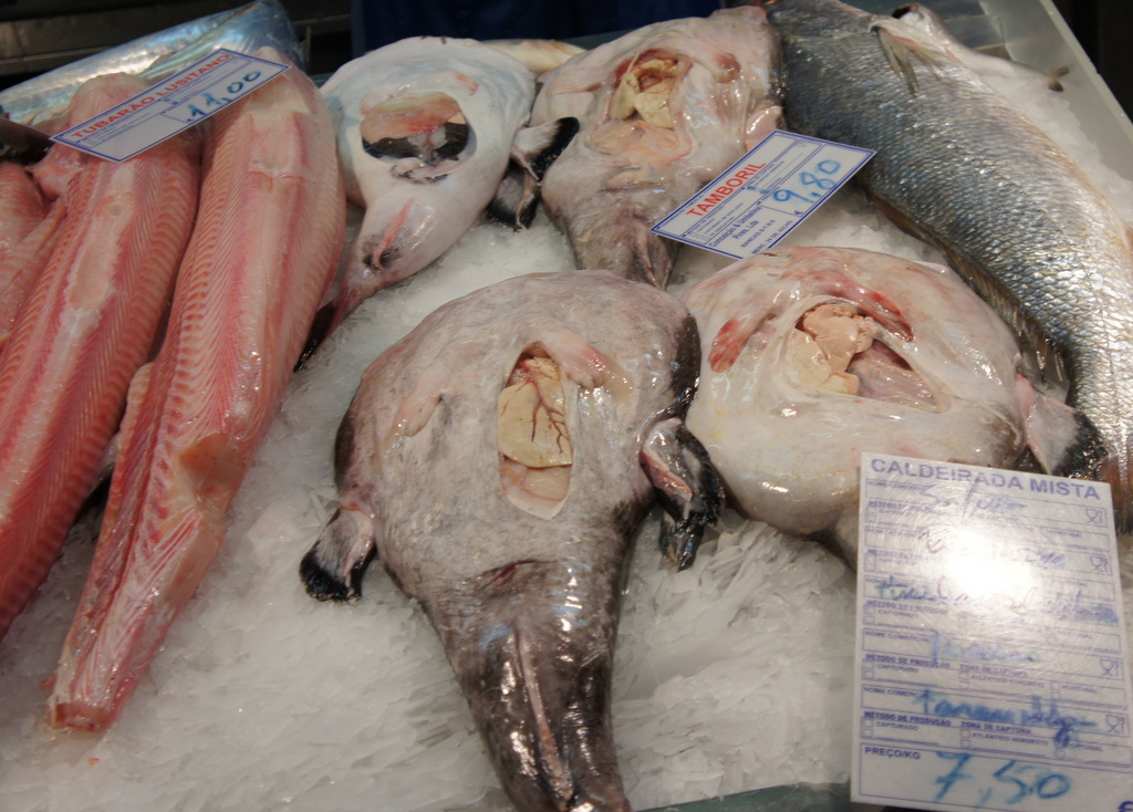 リスボンの魚市場!_c0180686_18271381.jpg