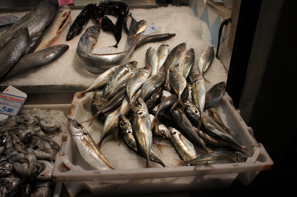 リスボンの魚市場!_c0180686_18414562.jpg