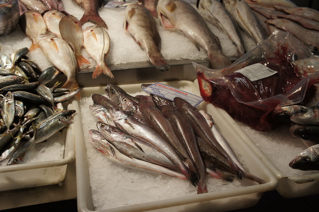 リスボンの魚市場!_c0180686_18424355.jpg