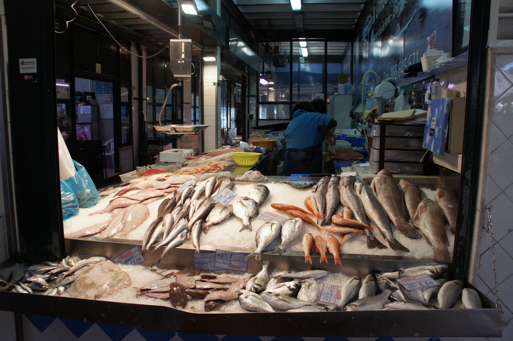 リスボンの魚市場!_c0180686_1846169.jpg