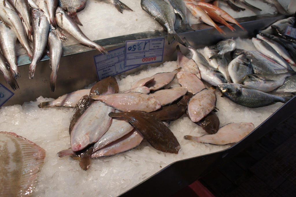 リスボンの魚市場!_c0180686_18464432.jpg