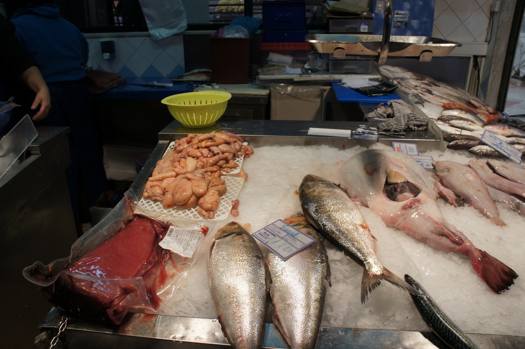 リスボンの魚市場!_c0180686_18473318.jpg