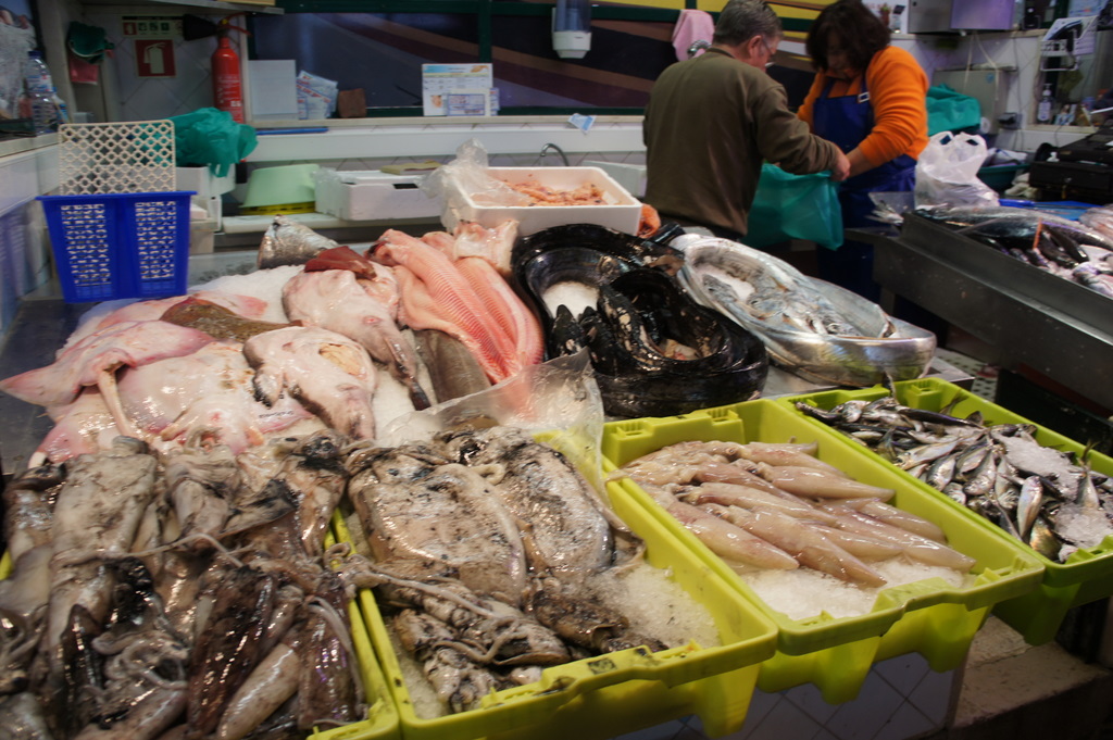 リスボンの魚市場!_c0180686_18484045.jpg