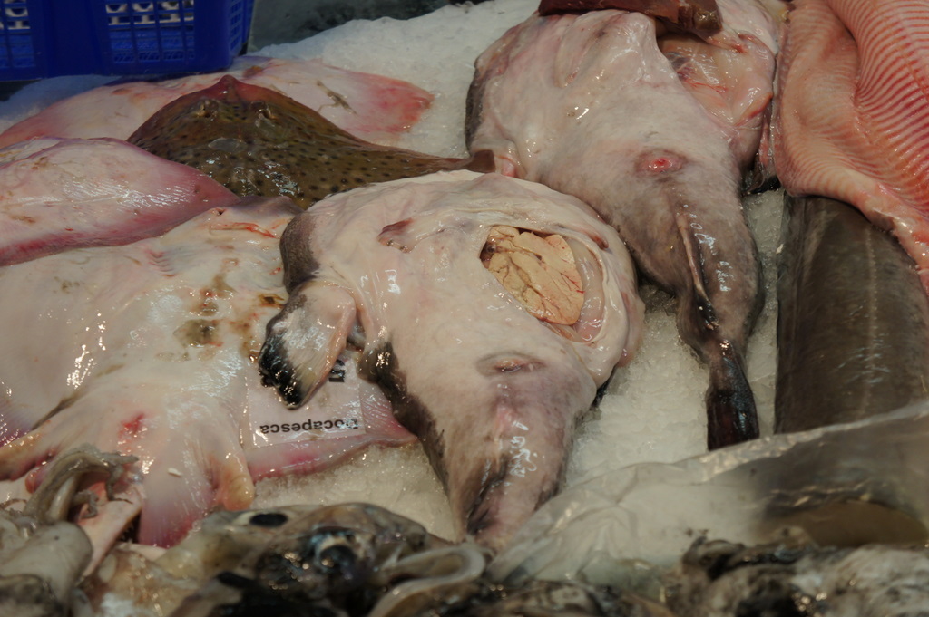 リスボンの魚市場!_c0180686_18495173.jpg