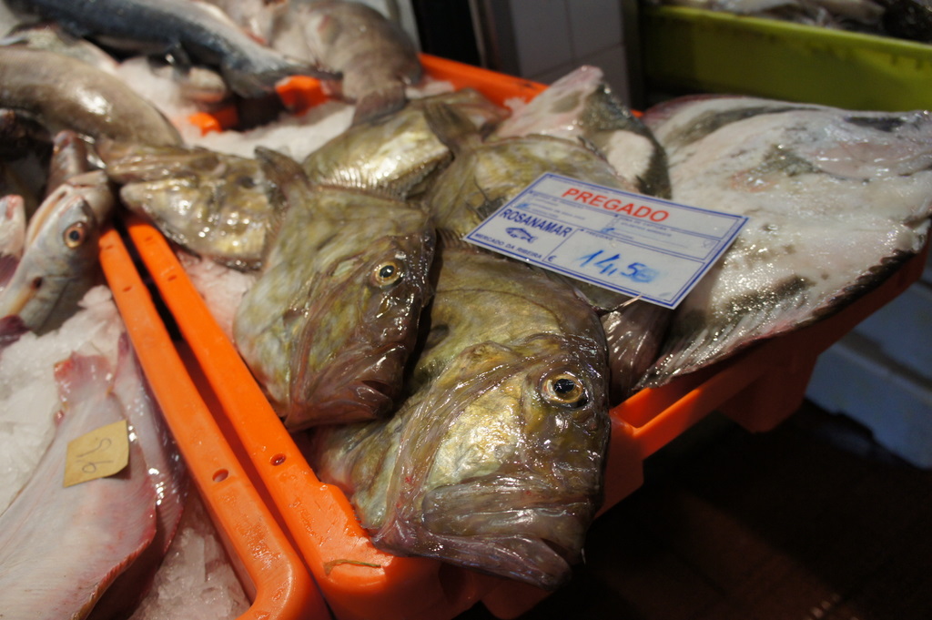 リスボンの魚市場!_c0180686_1851859.jpg