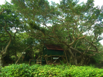 スリ浜「トムソーヤ小屋」_e0028387_02644100.jpg