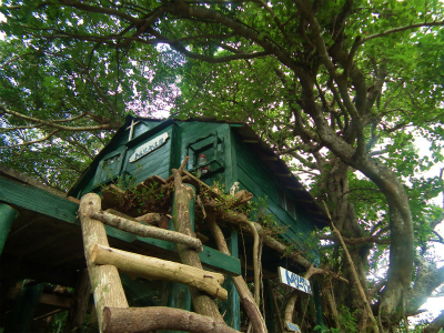 スリ浜「トムソーヤ小屋」_e0028387_027472.jpg