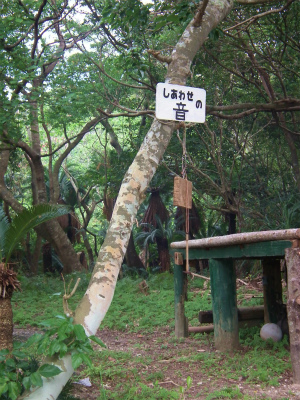 スリ浜「トムソーヤ小屋」_e0028387_0291363.jpg