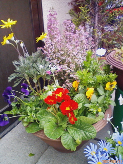 c0115092_11163853.jpg