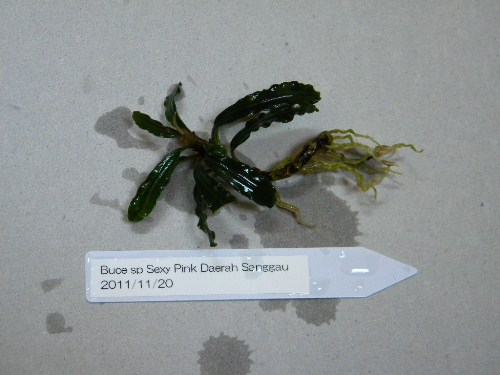 f0138093_0122460.jpg