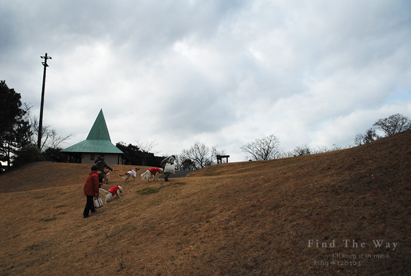 【wanこ】千葉・マザー牧場 ~ プチピーナッツとラスティちゃん 1_f0054594_1413489.jpg