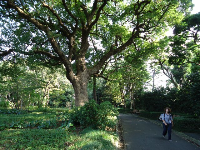 b0062495_21525995.jpg