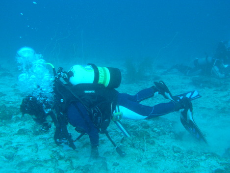 e0115199_20455458.jpg