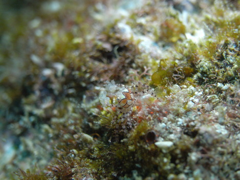 e0115199_2123813.jpg