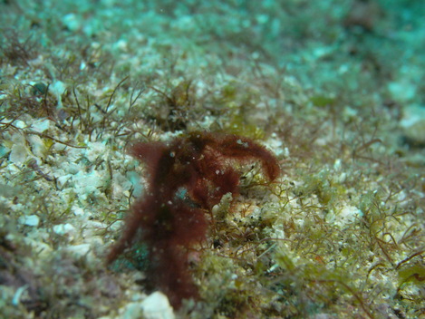 e0115199_2151799.jpg