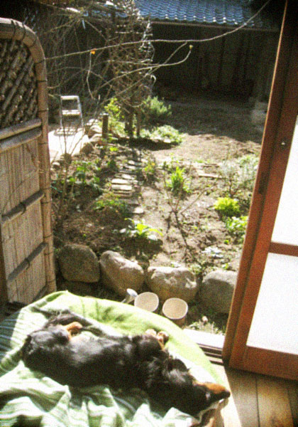 d0077603_21513611.jpg