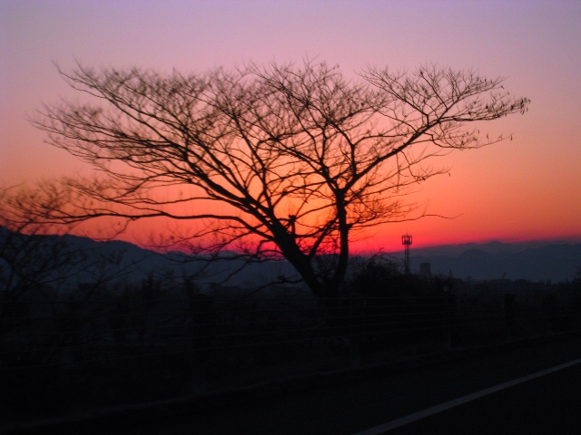 a0097006_21531414.jpg