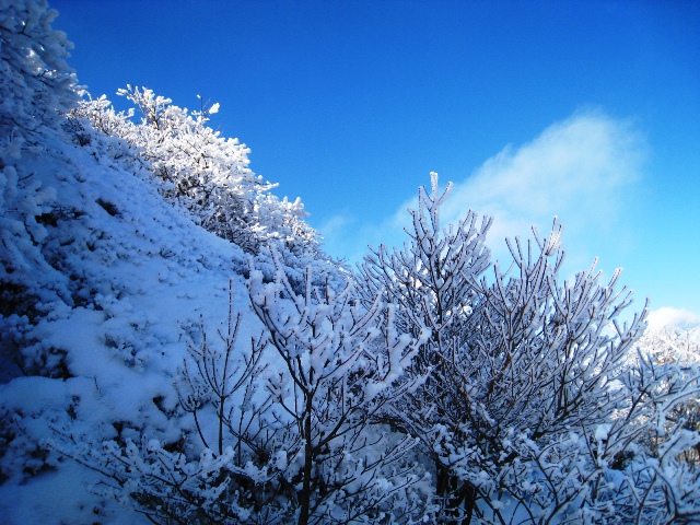 a0097006_21575215.jpg
