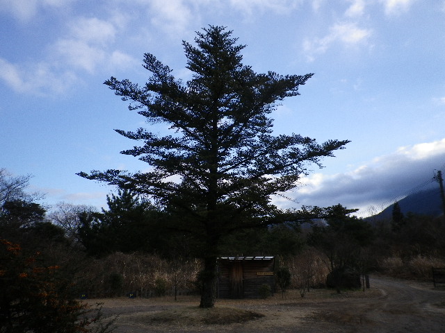e0179508_9272512.jpg