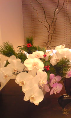 c0180209_21251971.jpg