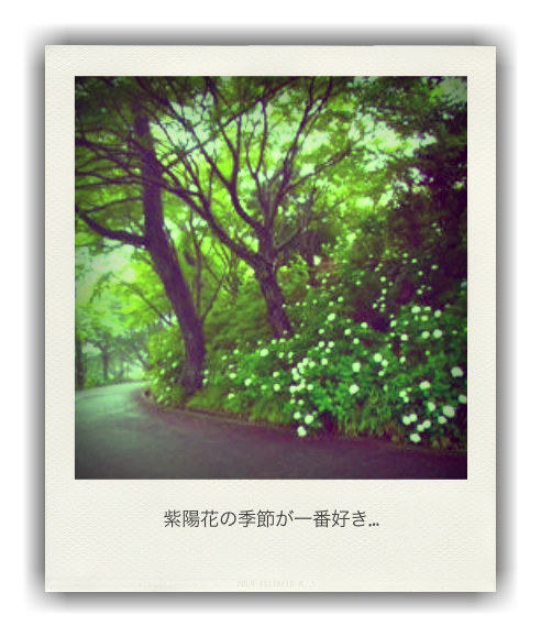 b0183911_173212.png