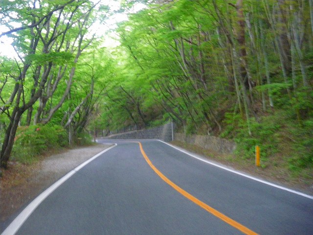 a0243317_20115048.jpg