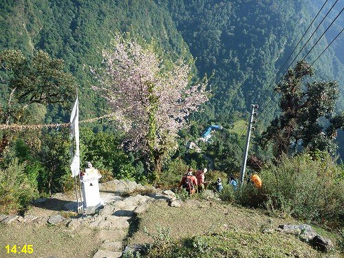 Bamboo(2310m)からJhinudanda(1780m)へ,2-2_c0048117_1342496.jpg