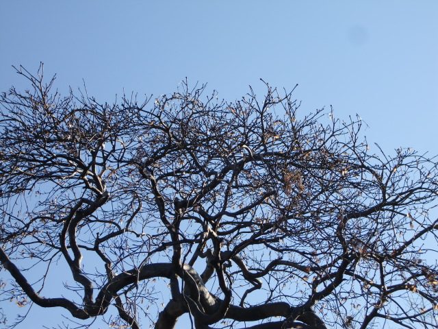 e0234924_1730335.jpg