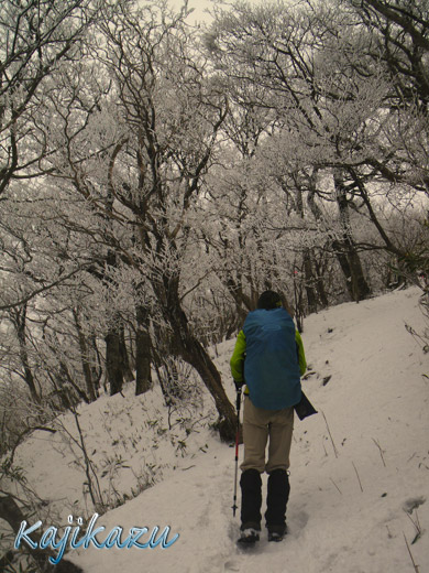 a0166940_21552026.jpg