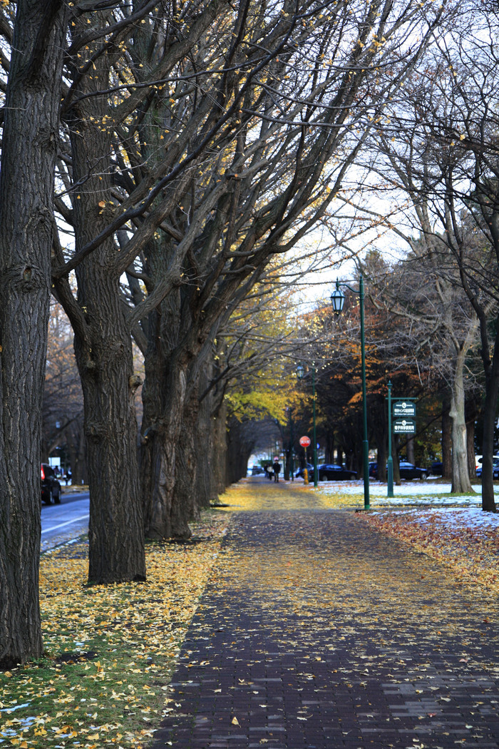 b0199944_1104327.jpg