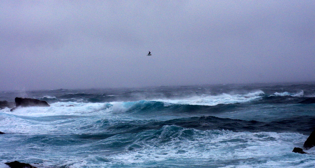 d0186245_7345693.jpg