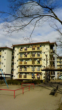 d0163546_20174325.jpg