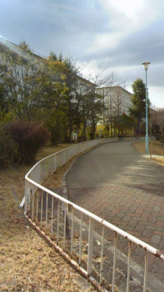 d0163546_2017436.jpg